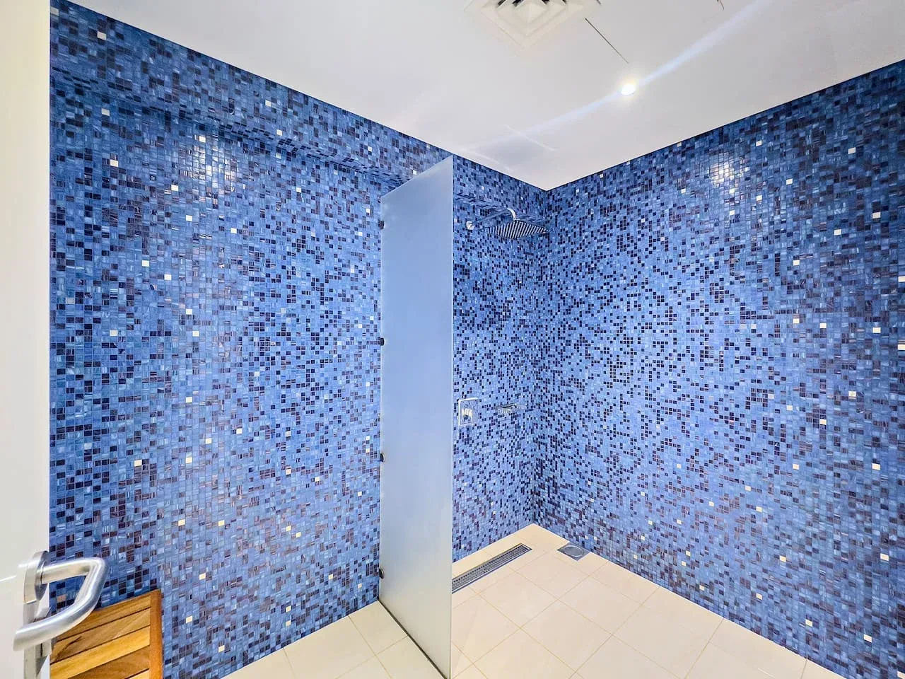 Un baño con paredes de mosaico azul y una ducha.