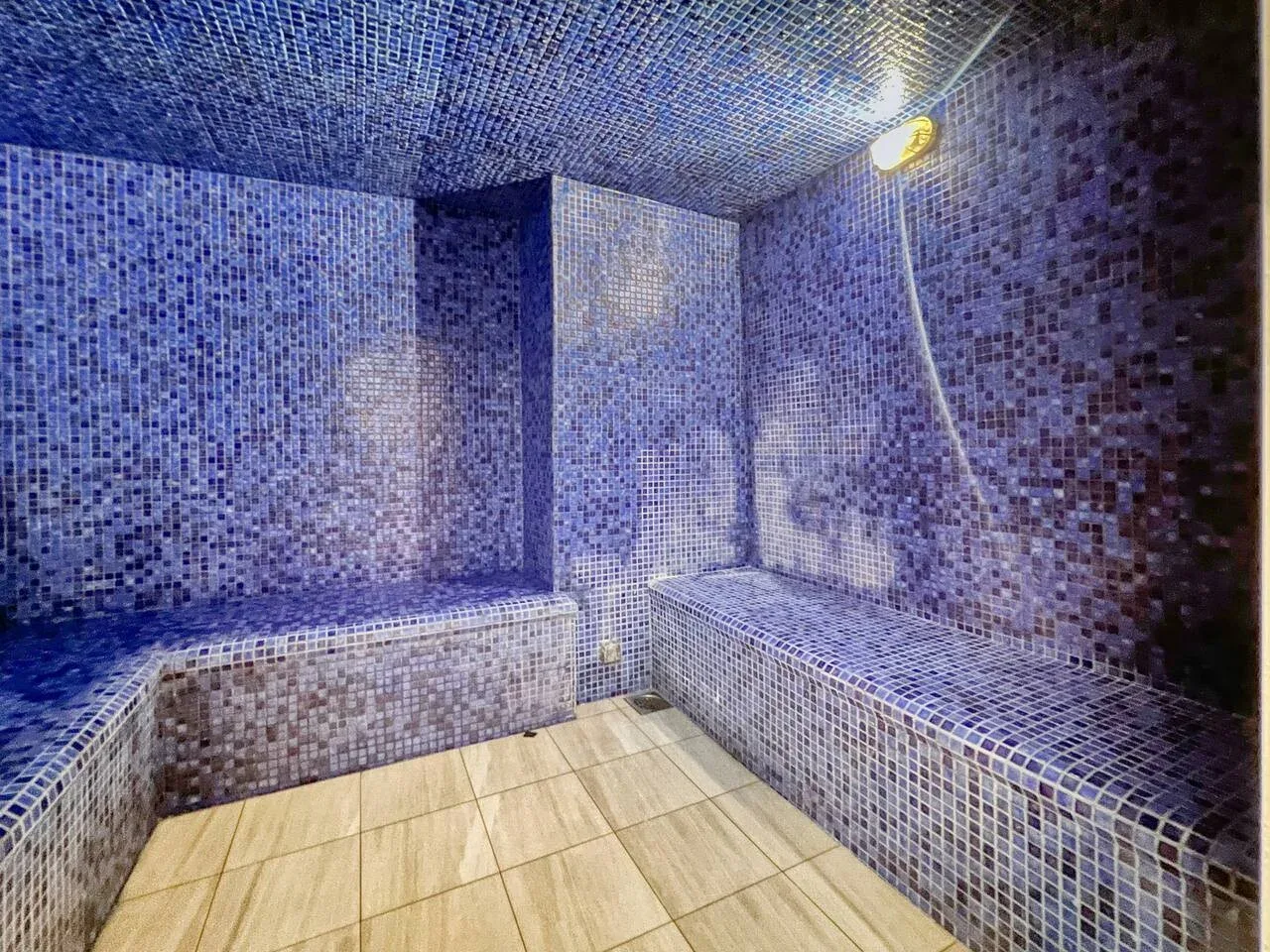 Un baño de vapor alicatado con bancos integrados y una ducha de mano.