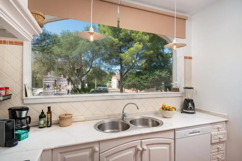 A kitchen counter with a double sink overlooks leafy trees through a wide window.