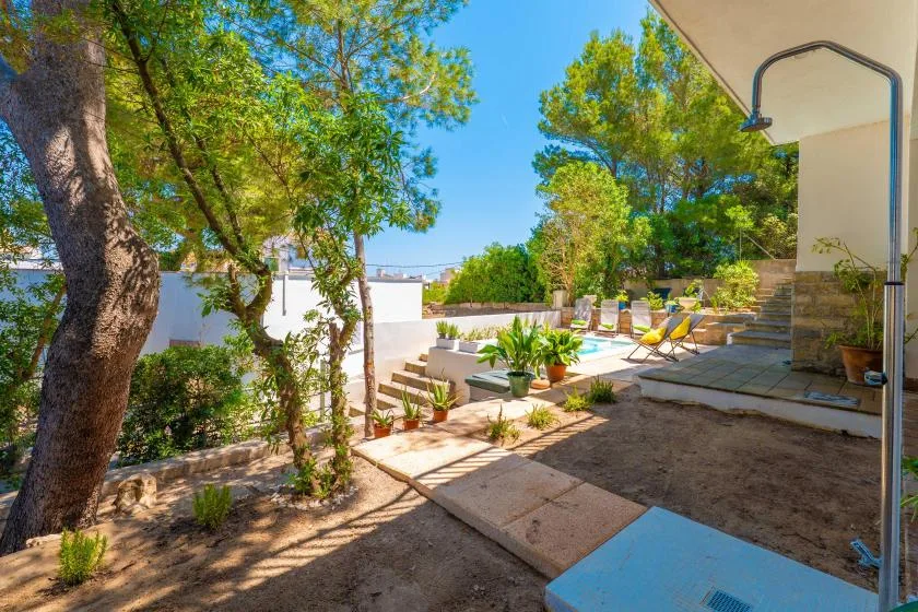 A sunny outdoor patio with trees, seating, and a swimming pool.