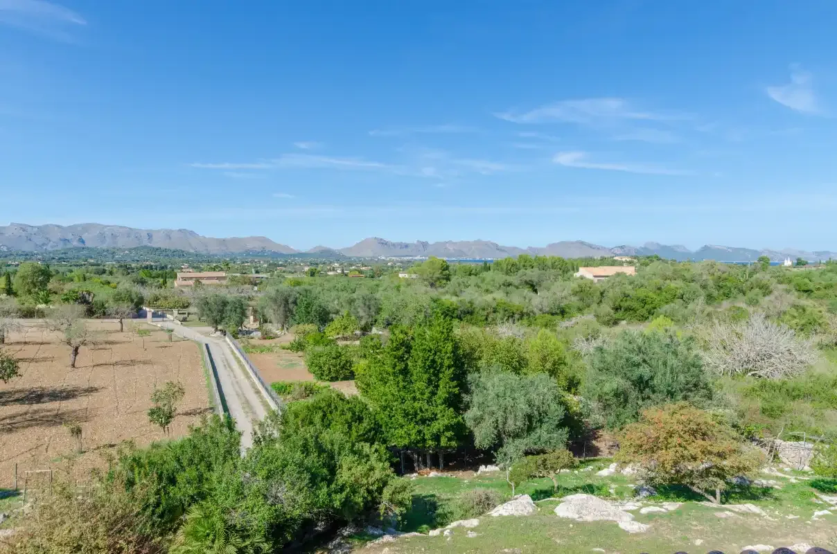 A rural landscape with fields, scattered trees, and distant mountains beneath a blue sky.