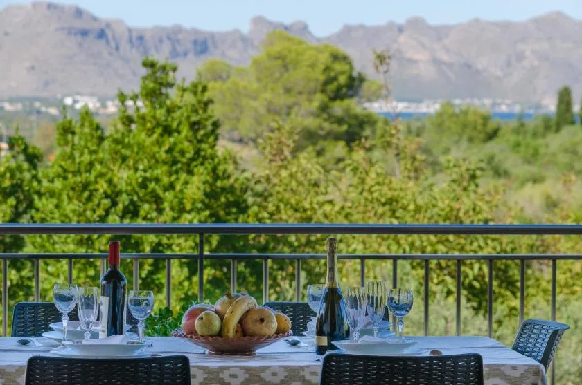 An outdoor dining table with place settings overlooks green trees and distant mountains.