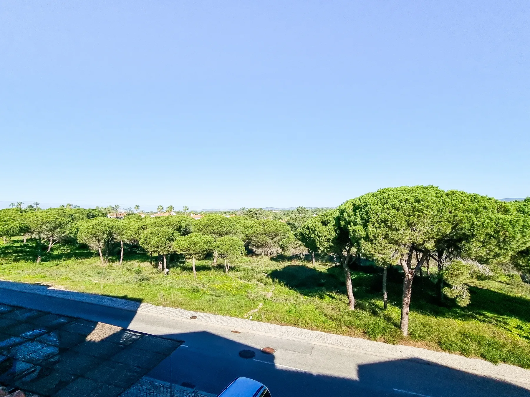 A paved path borders a grassy, tree-lined landscape beneath a clear blue sky.