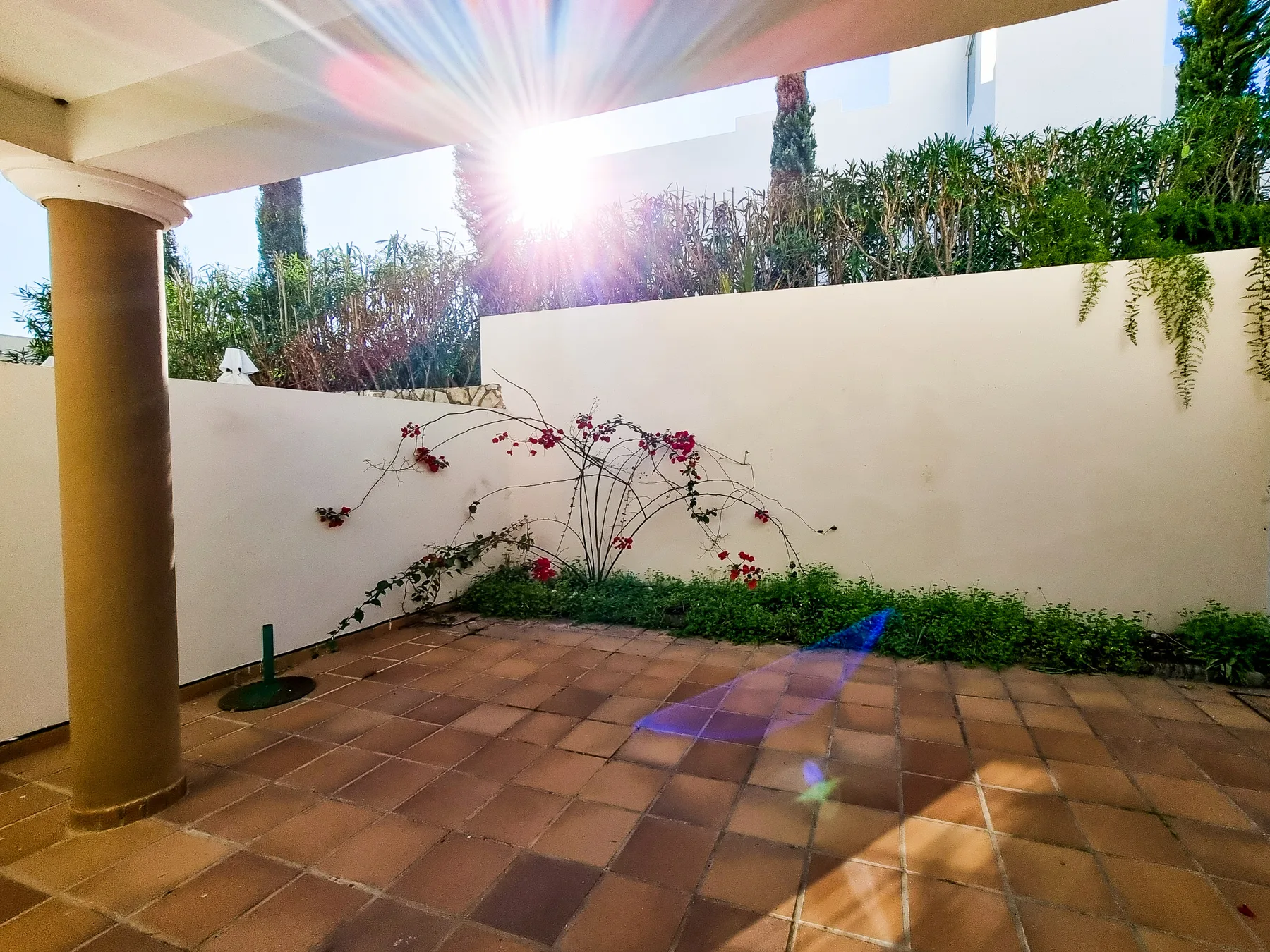 Un patio soleado con suelo de baldosas y una enredadera en flor junto al muro.