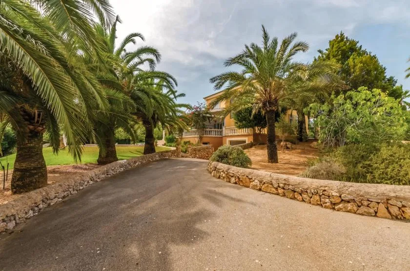 A paved driveway curves through landscaped grounds toward a building, with palm trees along the way.