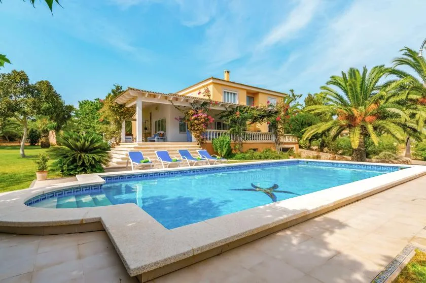 A swimming pool sits in front of a house, surrounded by palms and greenery.
