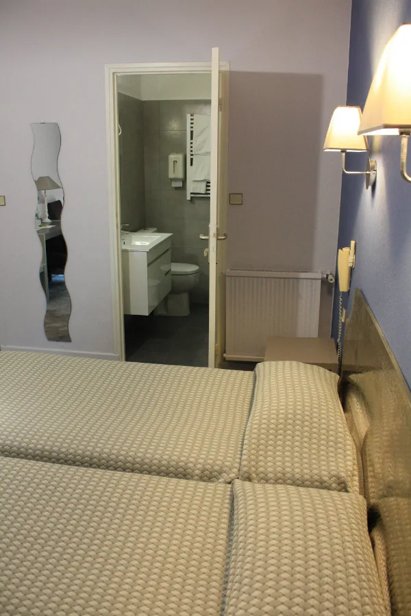 Standard room with shower and two beds