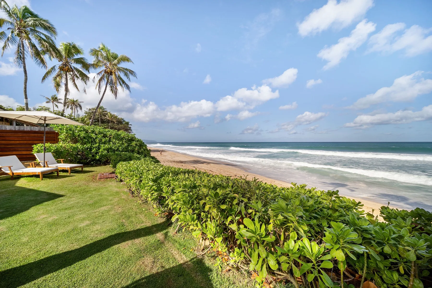Un jardín junto a una playa tropical, con palmeras, vegetación y olas del océano.