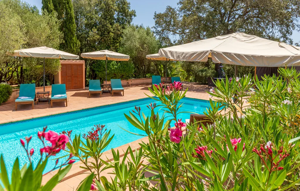 An outdoor swimming pool is surrounded by patio seating and flowering plants.