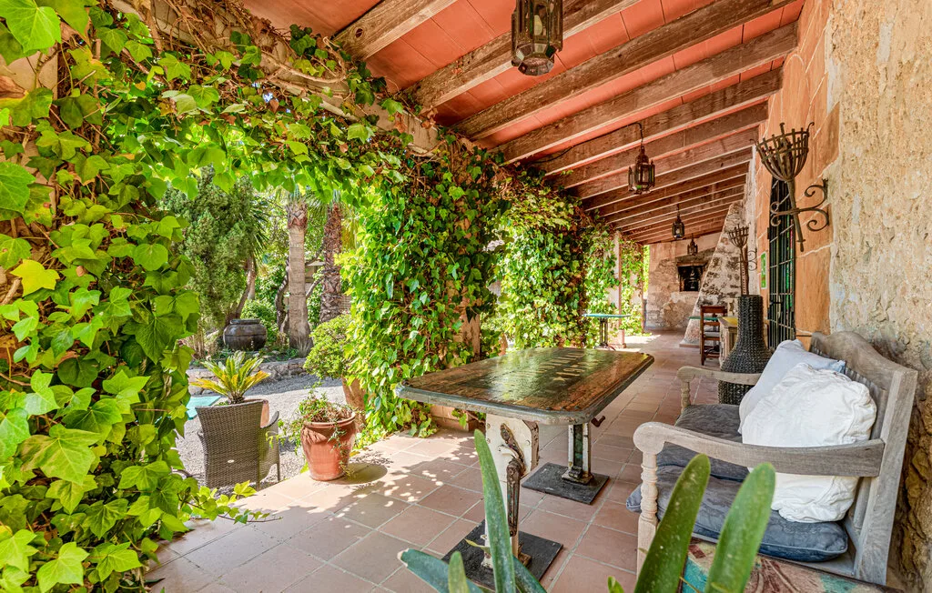 A covered patio with a table, seating, and leafy vines along the side.