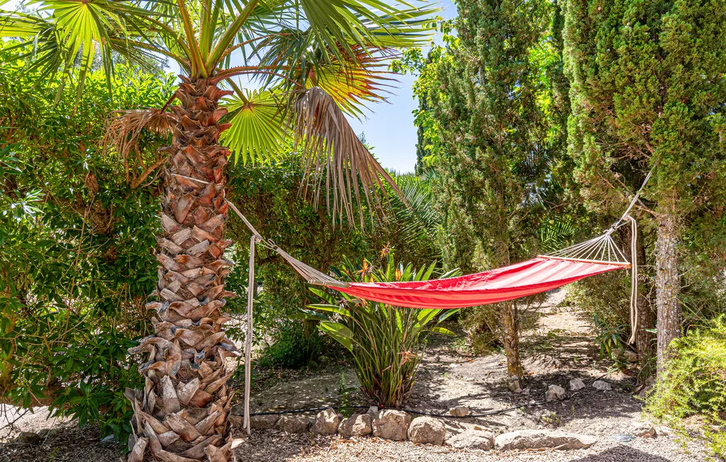 A hammock hangs among trees and shrubs in a sunny garden.