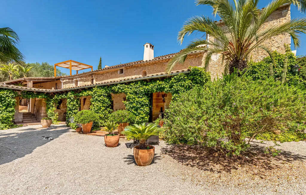 El exterior de una casa de piedra está rodeado de vegetación trepadora y plantas en macetas.