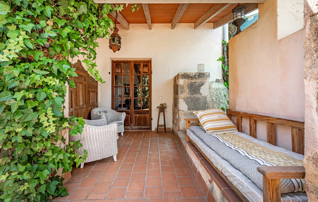 A covered patio with cushioned seating and leafy vines along one side.