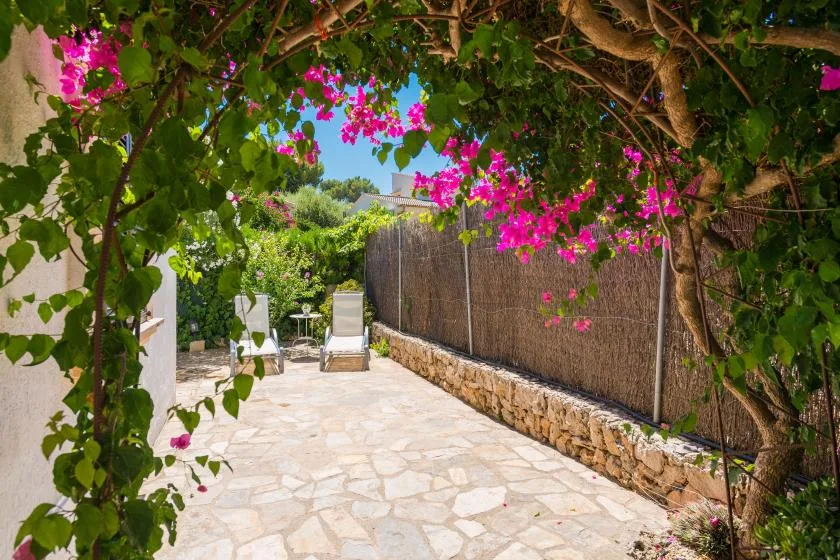 Un patio exterior de piedra, sombreado por ramas frondosas y flores rosas.