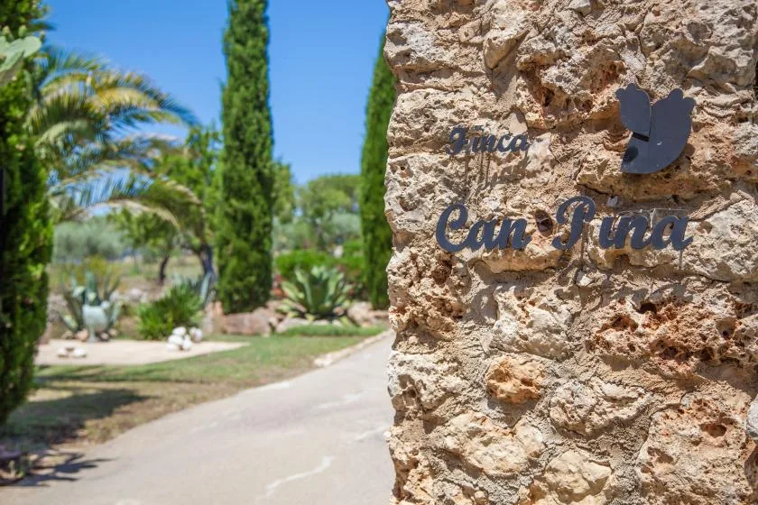 Un letrero de piedra está junto a un sendero pavimentado bordeado de palmeras.