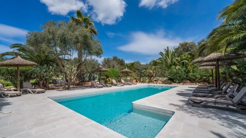 An outdoor swimming pool is surrounded by lounge chairs and palm trees.