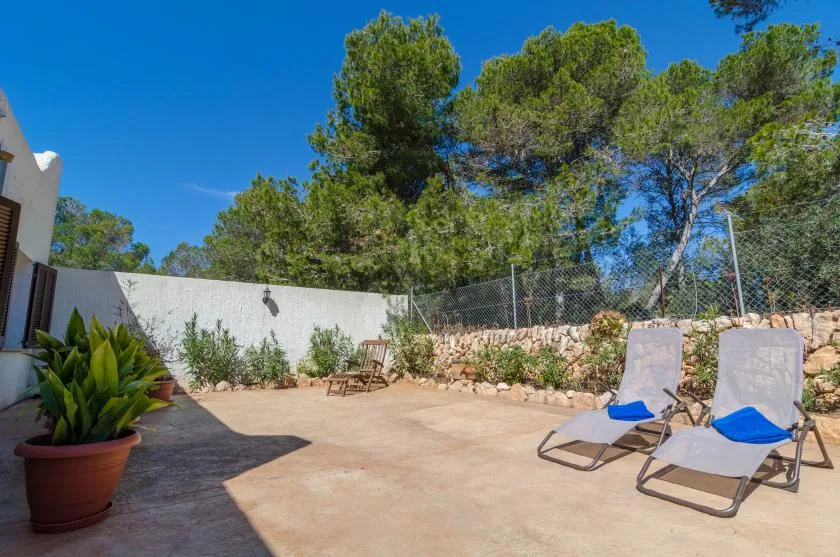 A sunny outdoor patio with two lounge chairs, potted plants, and trees.