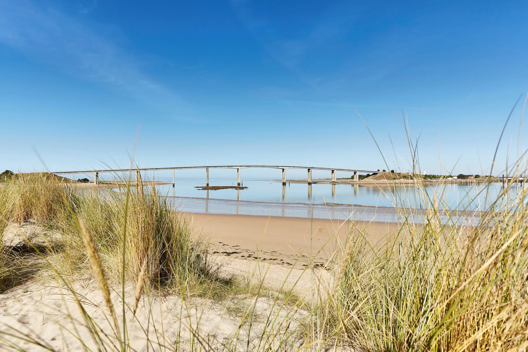 A sandy beach with dune grass, calm water, and a long bridge in the distance.
