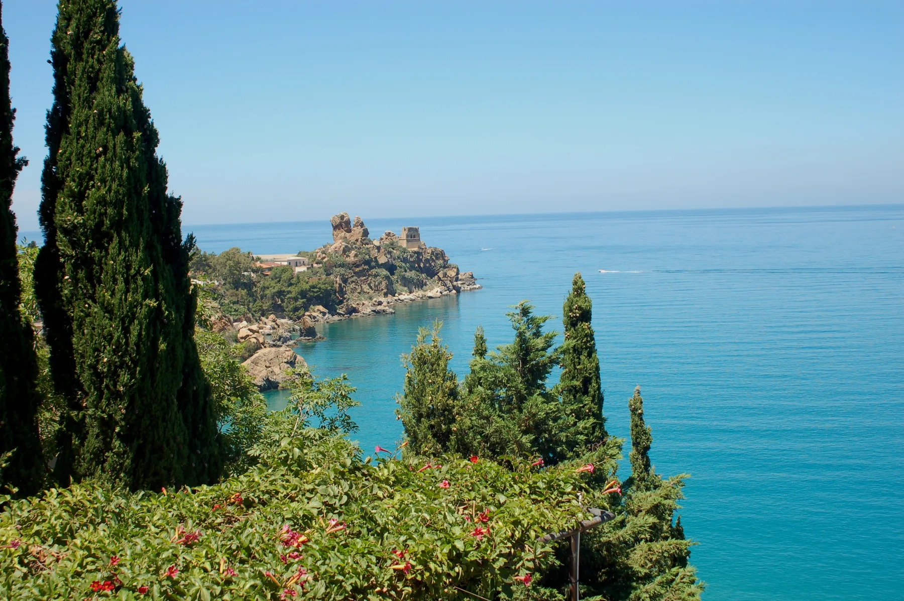 A coastal landscape with evergreen trees and a rocky headland beside blue water.