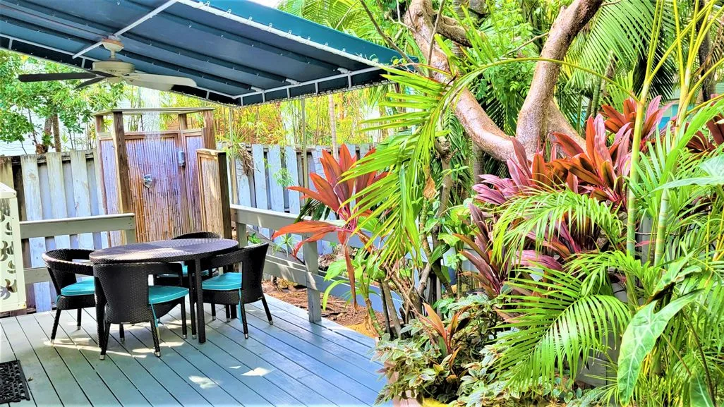 Tropical patio with outdoor dining under a canopy