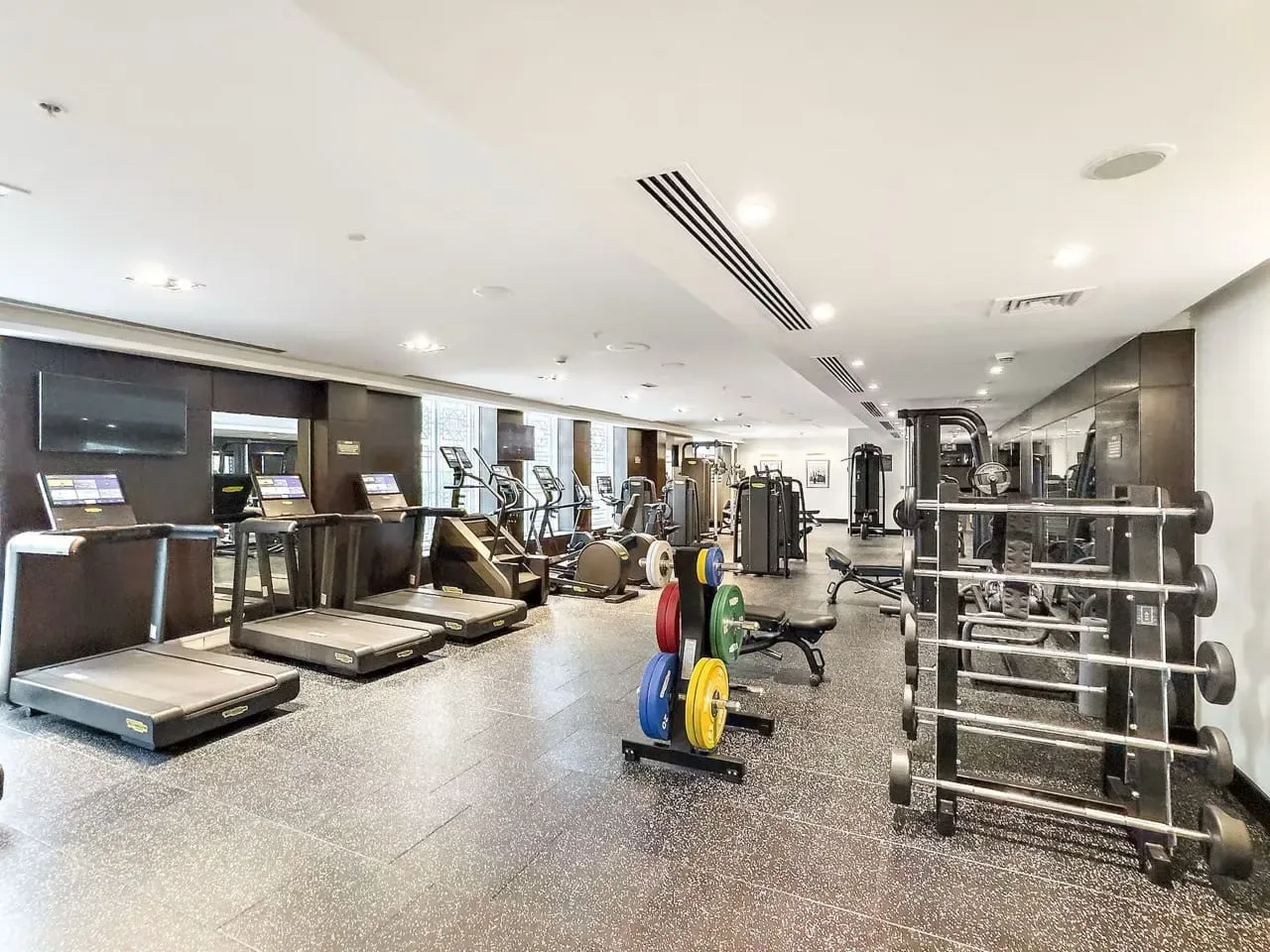 Un gimnasio con máquinas cardiovasculares, pesas y bancos de ejercicio.