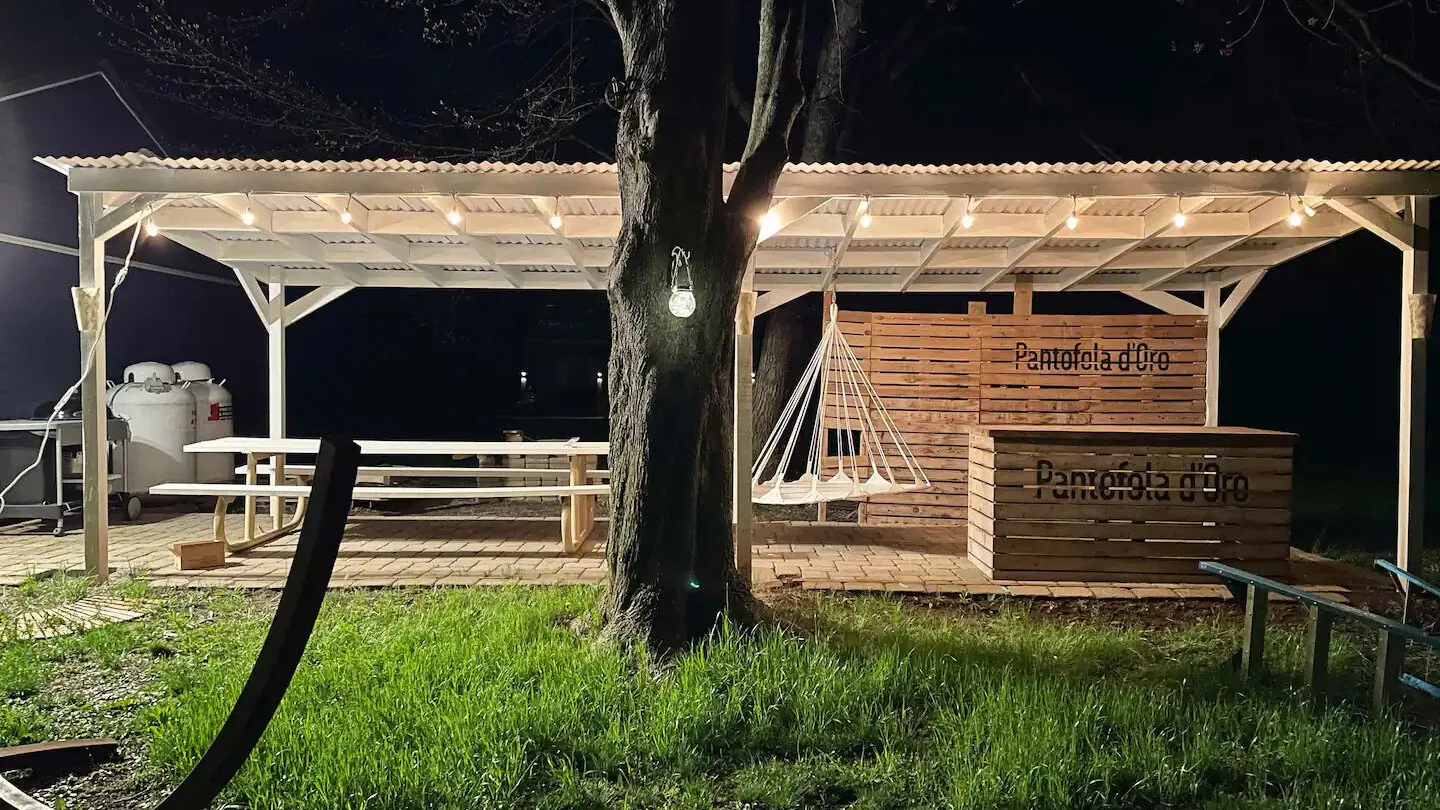 Un patio exterior iluminado, con asientos de madera y un árbol grande en primer plano.