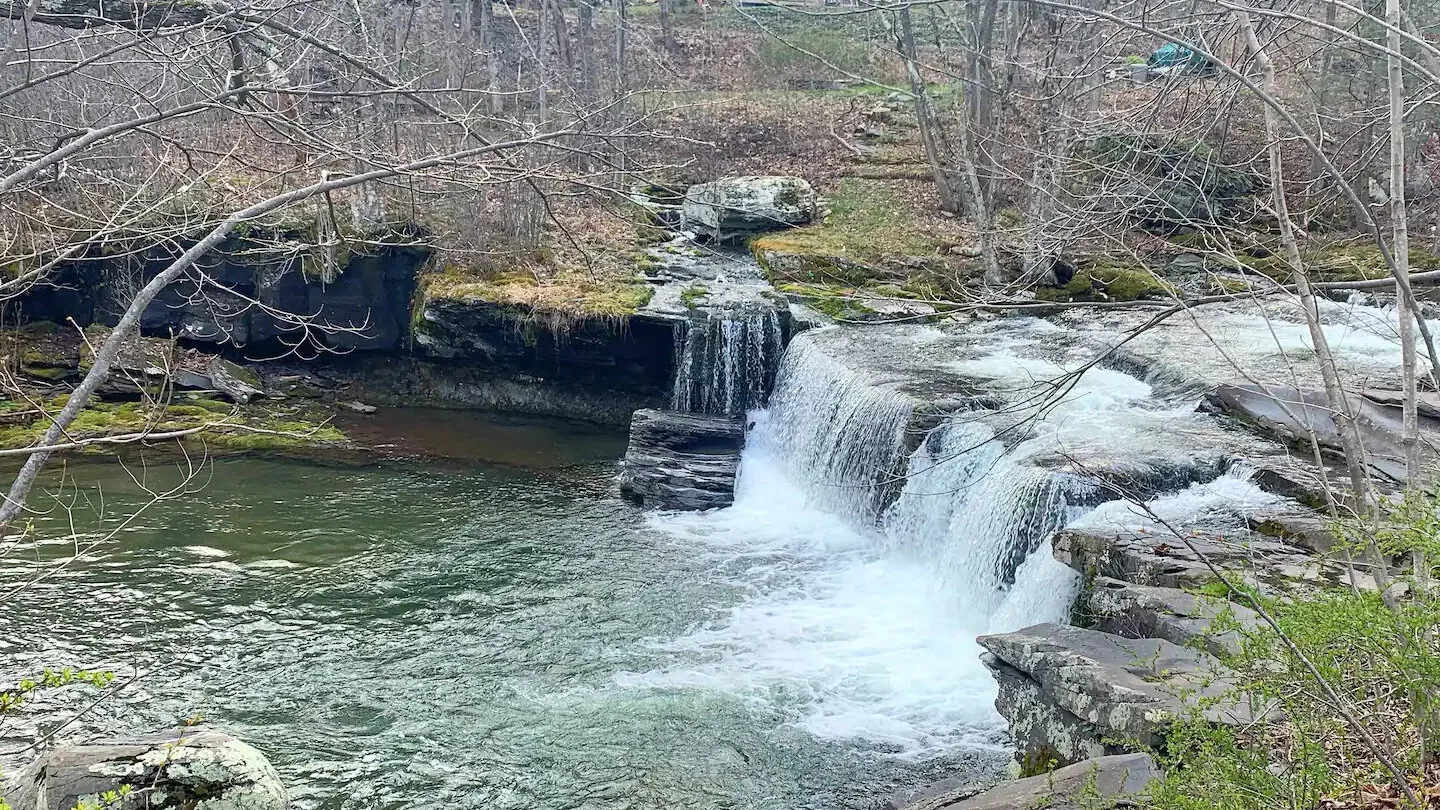 Una pequeña cascada cae sobre salientes rocosos y forma una poza en una zona arbolada.