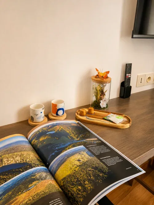 Zona de trabajo con una revista de viajes, tazas y objetos decorativos.