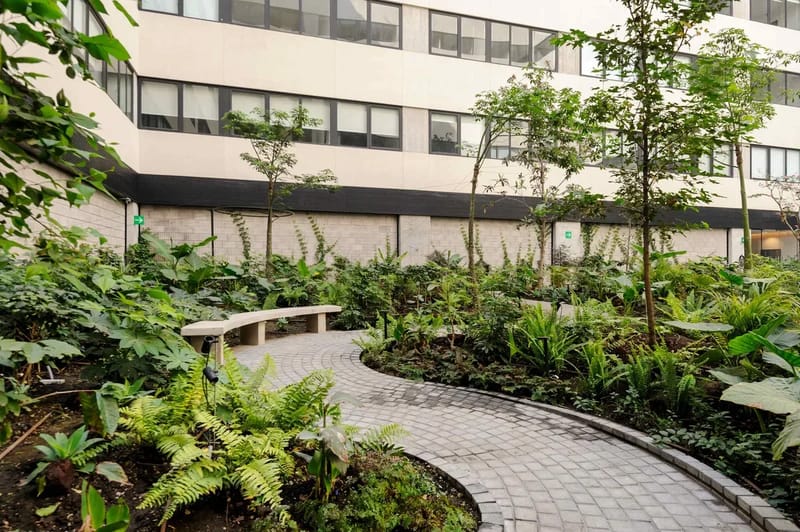 Engaging Loft in the Heart of Cuauhtemoc