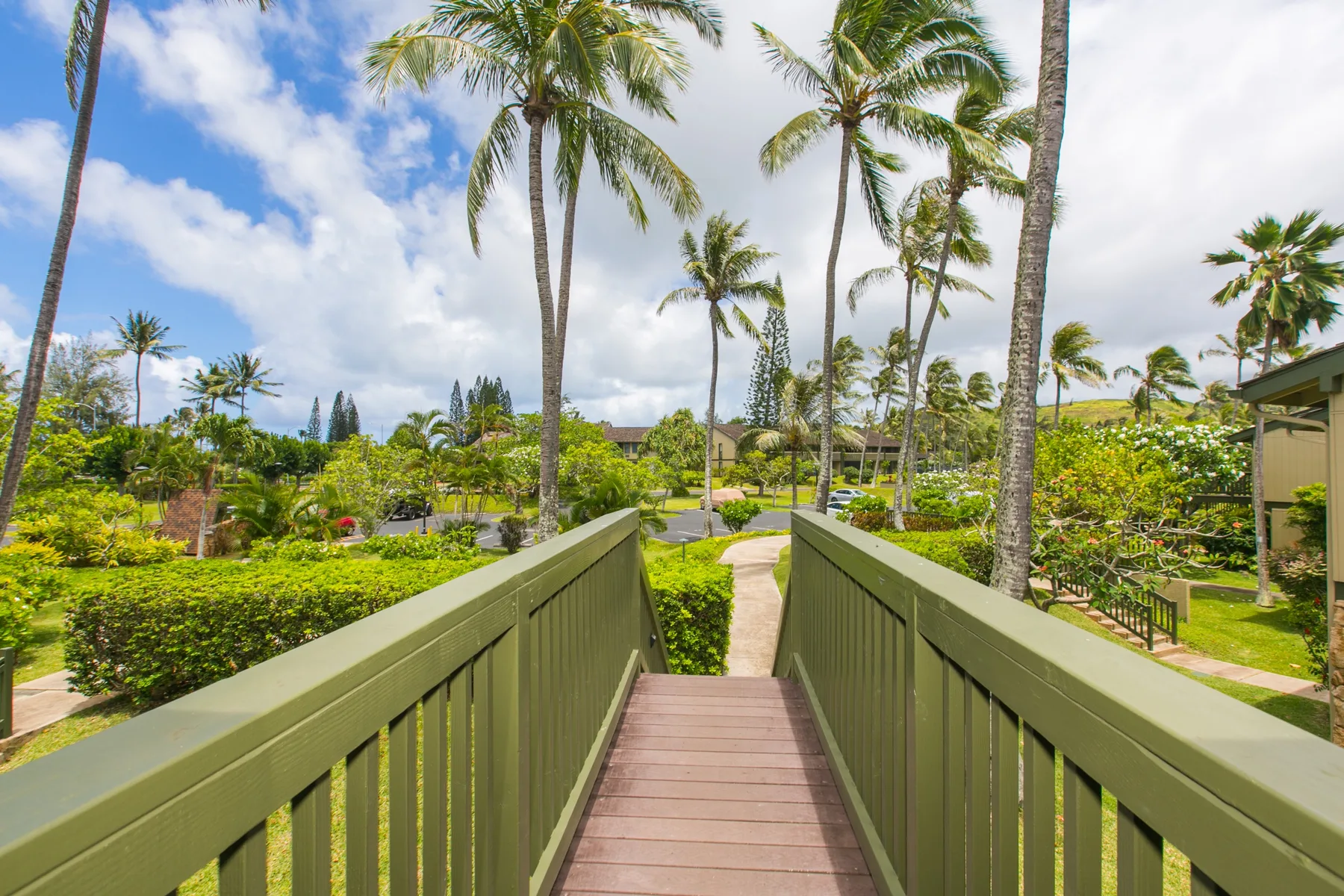 A wooden footbridge leads through a landscaped garden lined with palm trees.