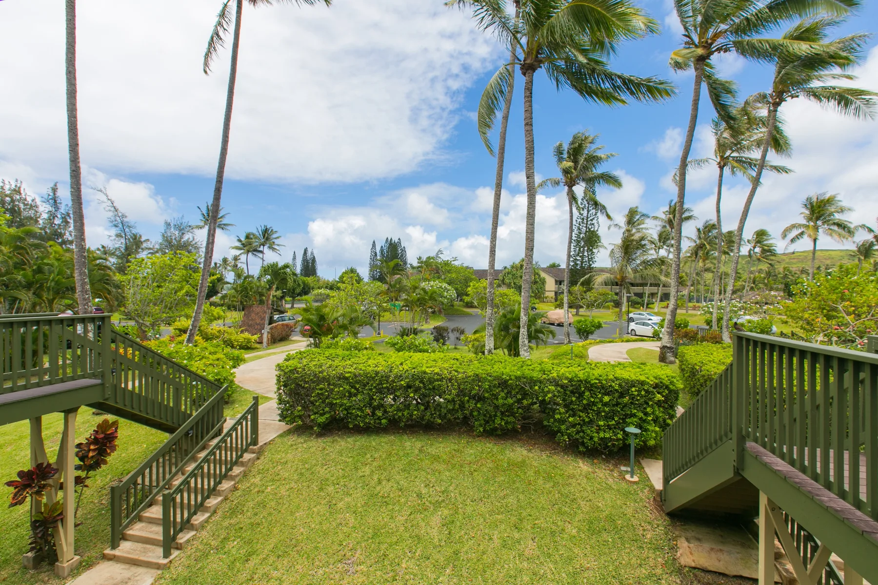 A landscaped garden with tall palm trees and a paved path between wooden railings.