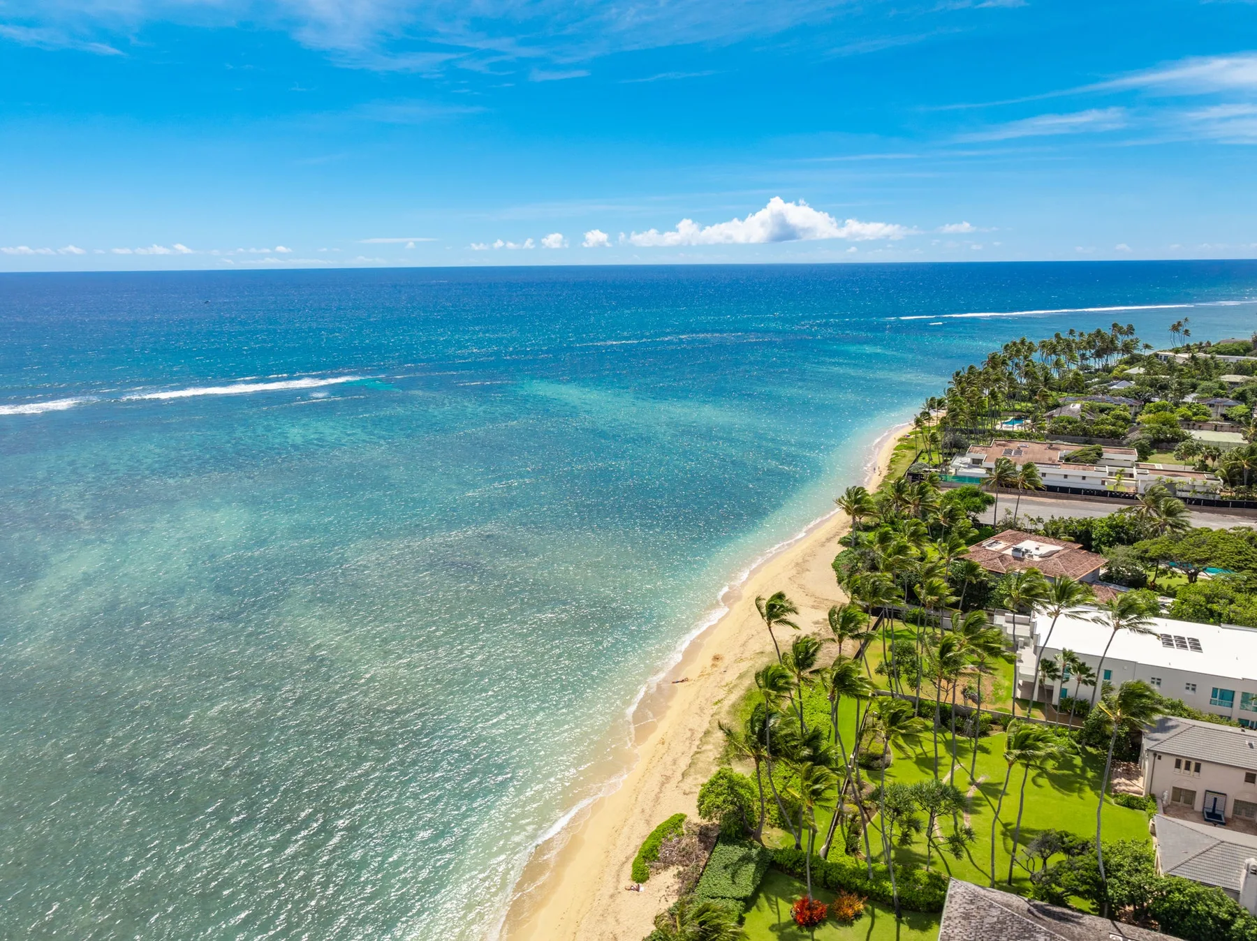 Vista aérea de una costa tropical con una playa de arena y palmeras.