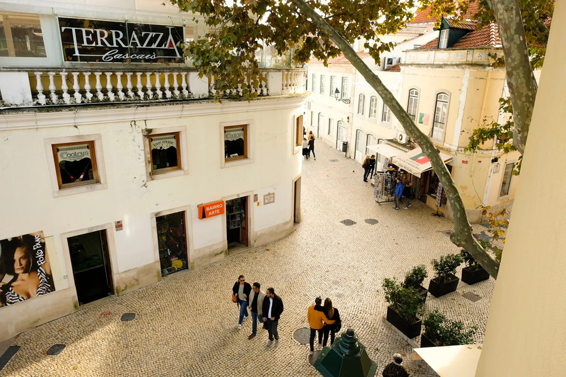 Una calle peatonal empedrada pasa entre edificios claros, con un árbol grande encima.