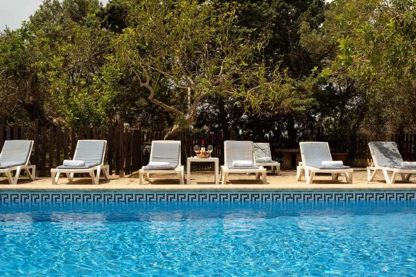 A swimming pool bordered by lounge chairs and leafy trees.