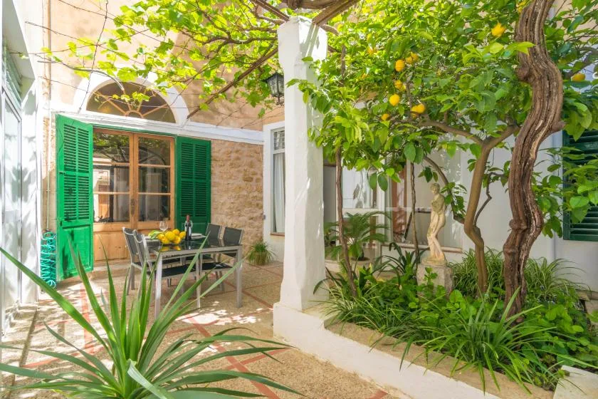 A leafy courtyard with a dining table beneath a fruiting tree.