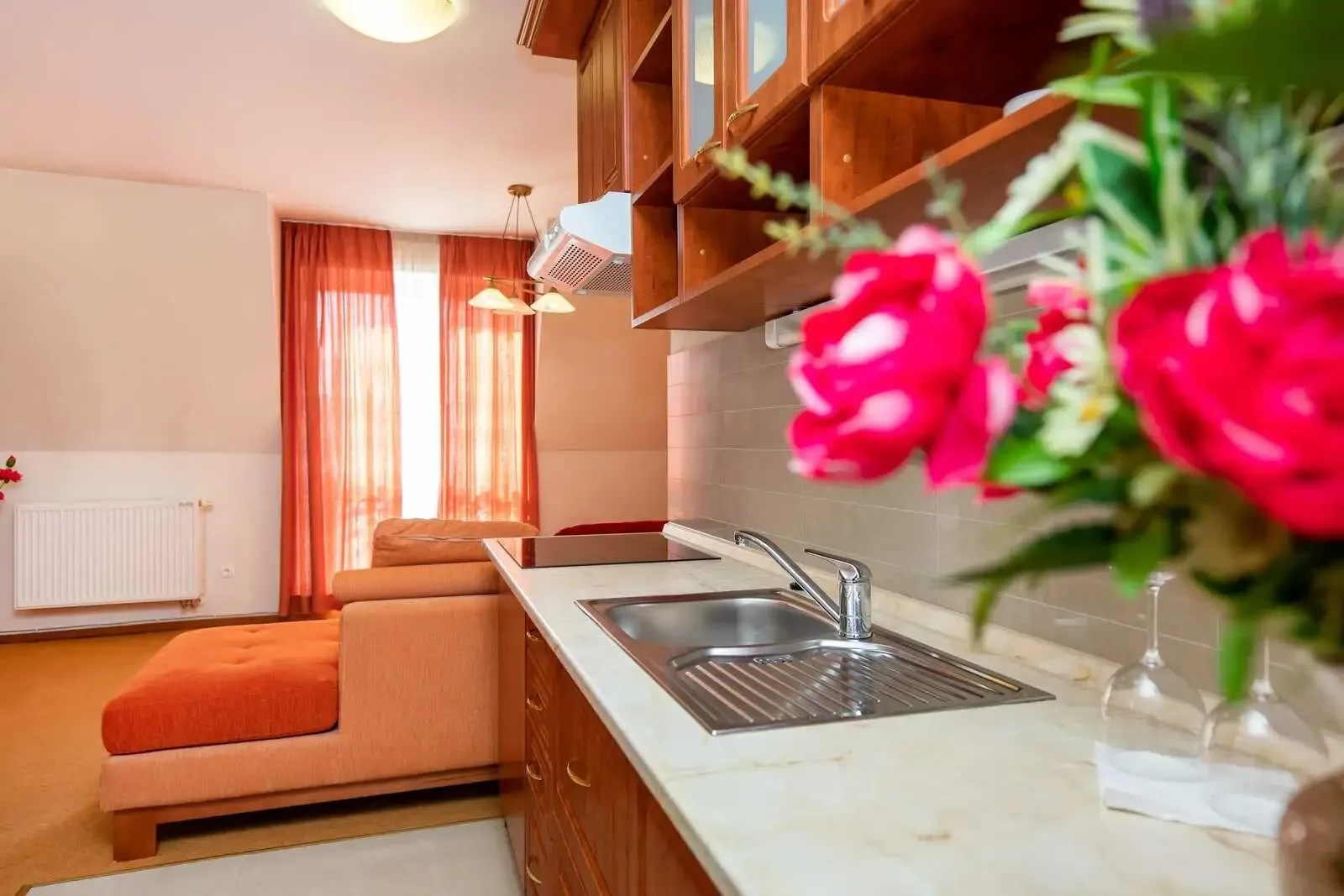 Family Apartment kitchen