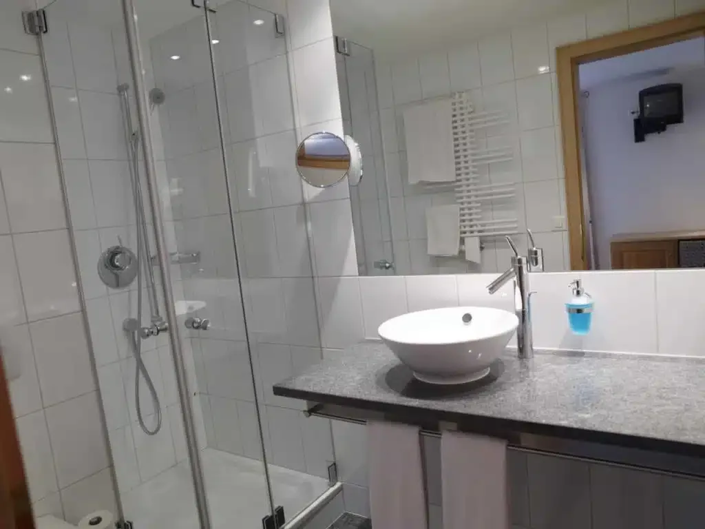 Foto de una habitación del Hotel Alpina Parpan