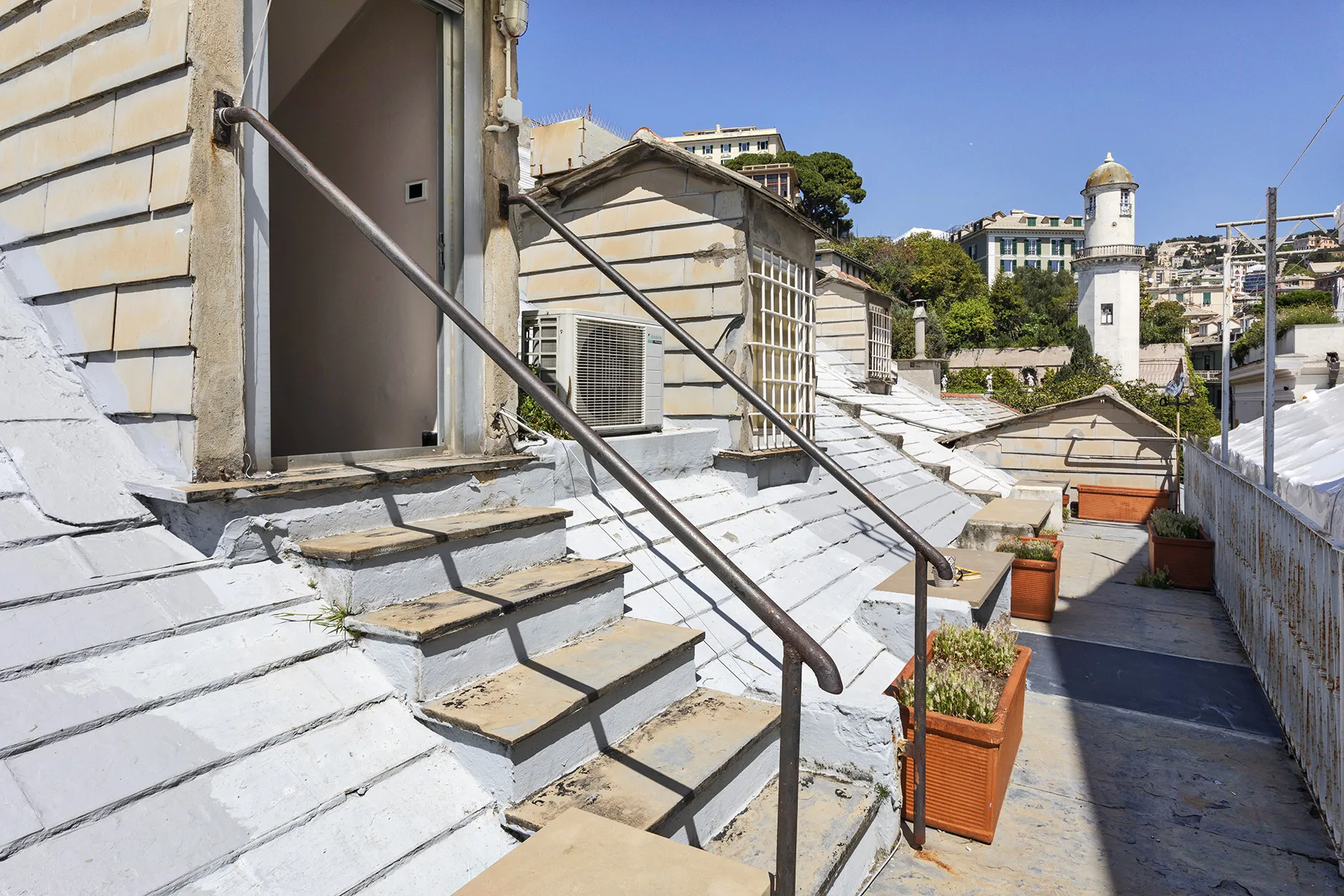 Una terraza en la azotea con escalones, plantas en macetas y edificios al fondo.