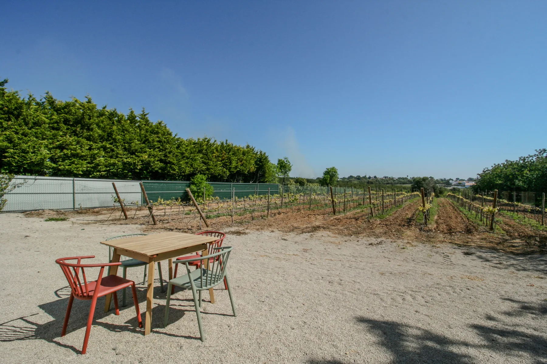 Outdoor seating area beside rows of cultivated plants under a clear sky.