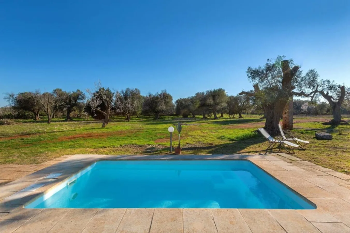 An outdoor swimming pool sits beside an open grassy landscape with scattered trees.