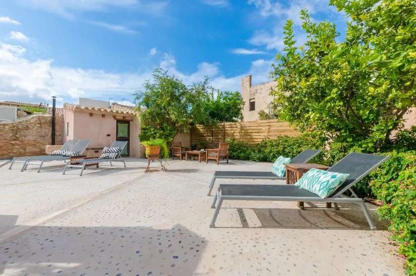 A sunny outdoor patio with lounge seating, potted plants, and leafy trees.