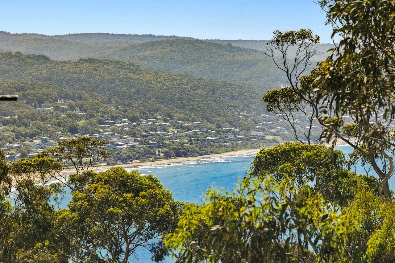 Se ve una bahía costera y una playa más allá de los árboles, con colinas al fondo.