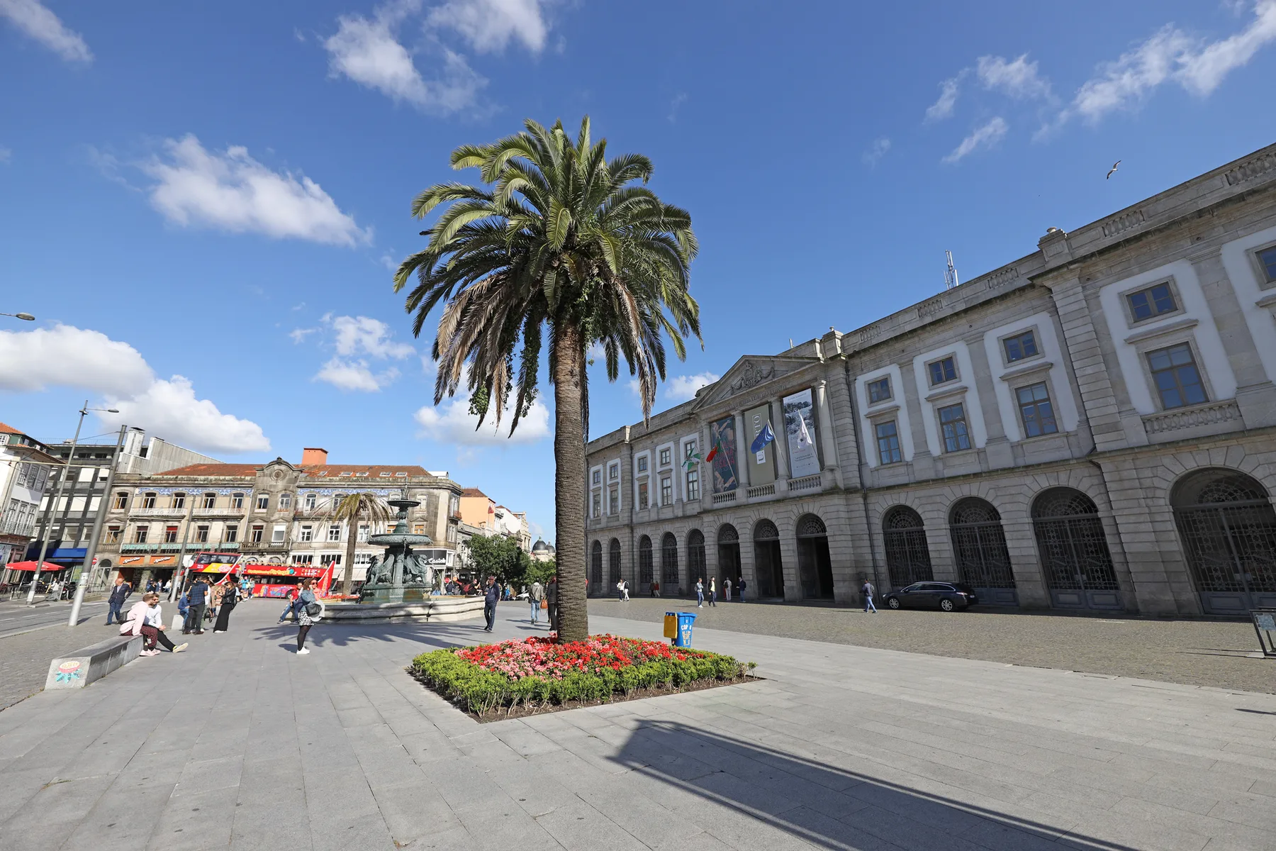 Una plaza pavimentada con una palmera y un gran edificio de piedra.