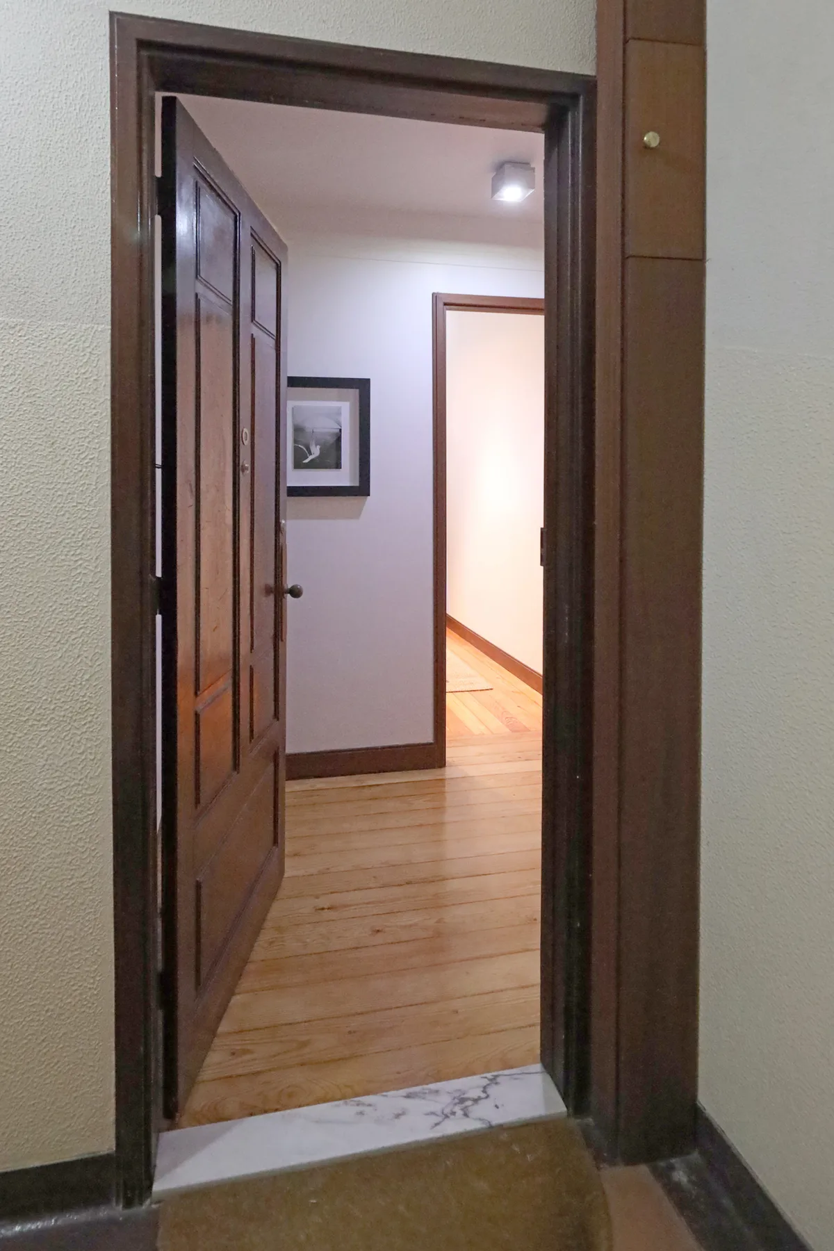 Un pasillo con una puerta de madera abierta y un cuadro en la pared.