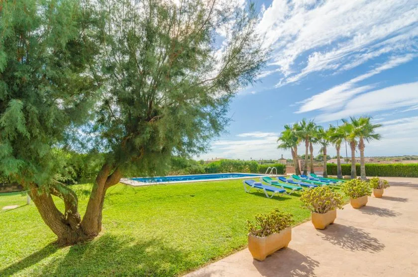 Un patio soleado con jardín da a una piscina, con palmeras y plantas en macetas cerca.