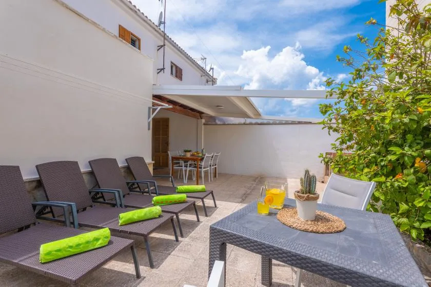 A sunny patio with lounge seating, a dining table, and a leafy plant.