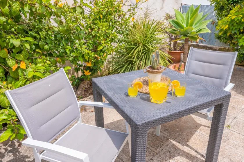 An outdoor patio dining table with drinks sits among lush green plants.