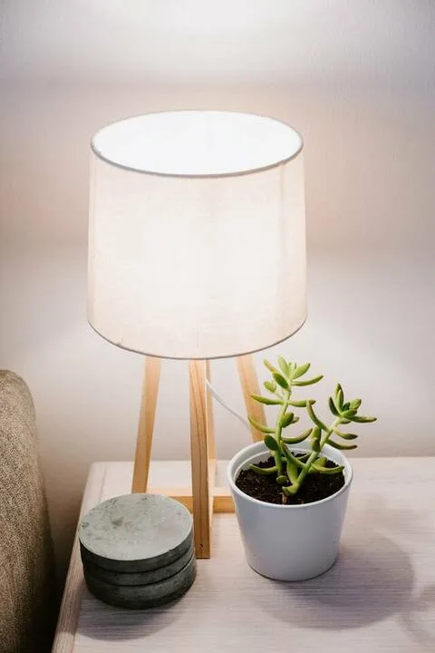 Una lámpara de mesa y una suculenta en maceta están sobre una mesa junto a un asiento.