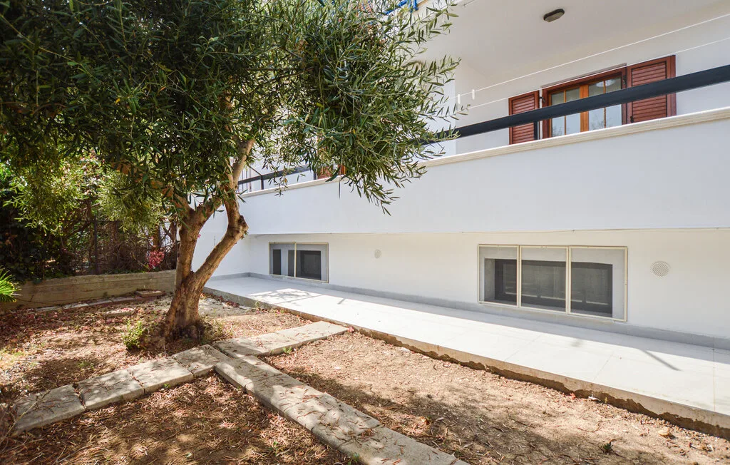 Una fachada blanca da a un pequeño patio con un árbol frondoso.
