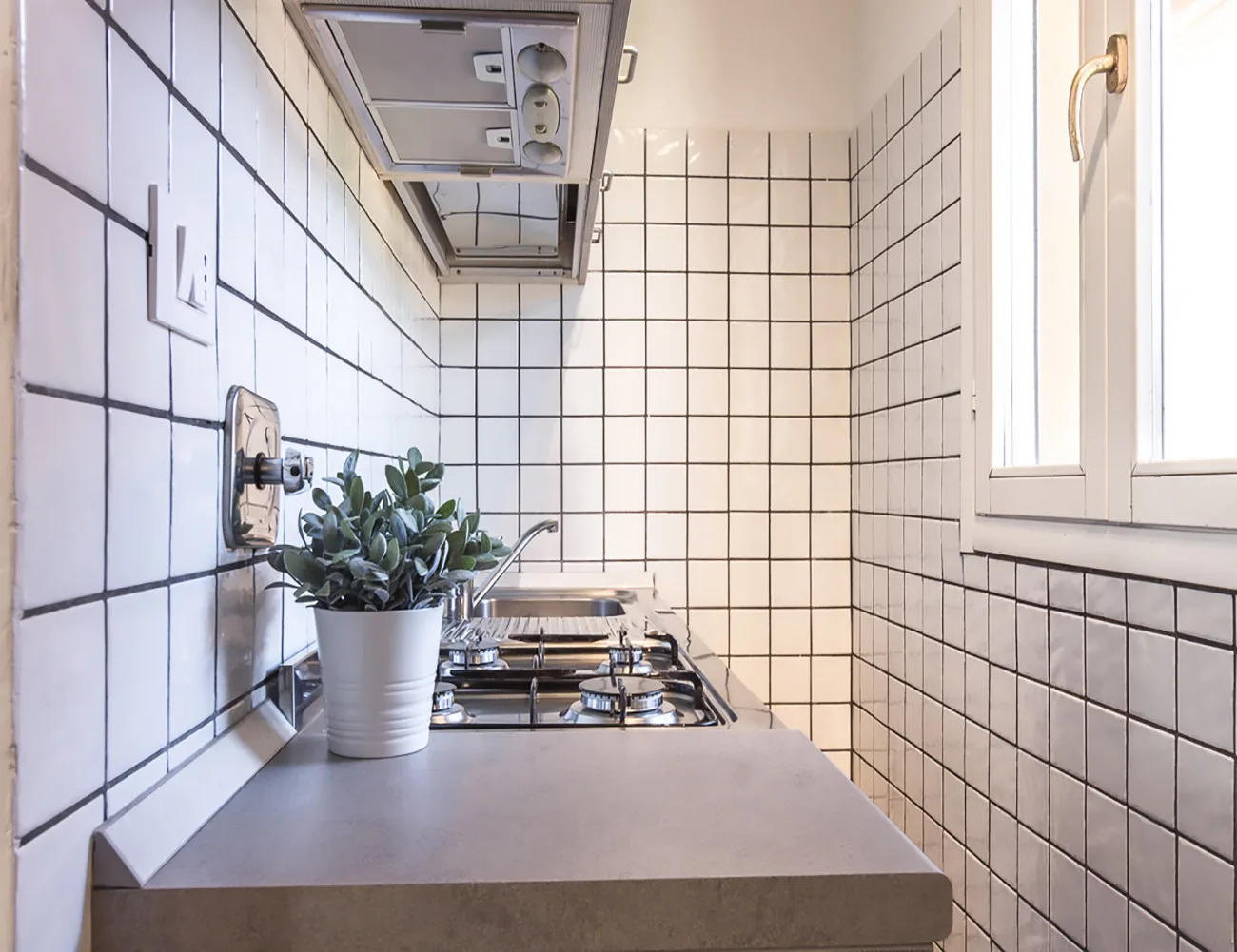 A compact kitchen with a tiled backsplash, stovetop, and potted plant.